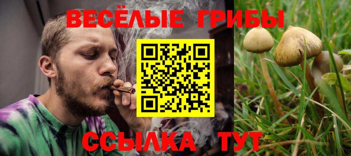Псилоцибиновые грибы GOLDEN TEACHER Бузулук